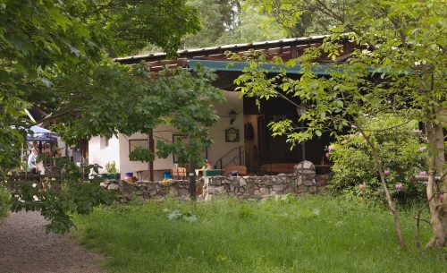 Außenansicht | Naturfreundehaus Billtalhöhe | Waldgaststätte | Königstein im Taunus