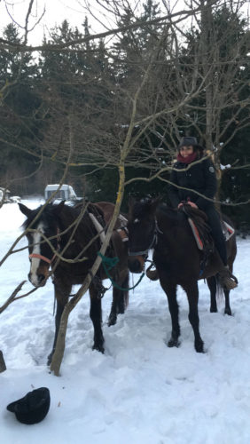 Winter auf dem Pferd | Naturfreundehaus Billtalhöhe | Waldgaststätte | Königstein im Taunus