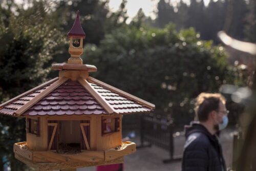 Vogelhaus auf der Terrasse