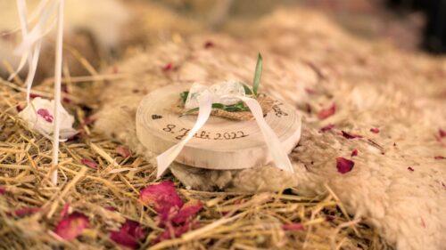 Hochzeit von Sabine und Uwe Baumann im Naturfreundehaus